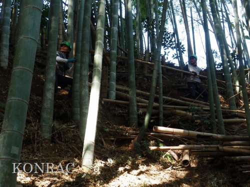 ���R��y��