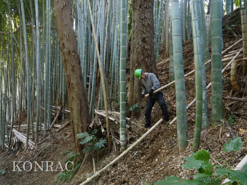 ���R��y��