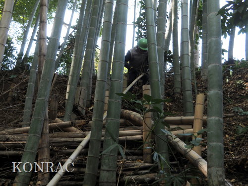 ���R��y��