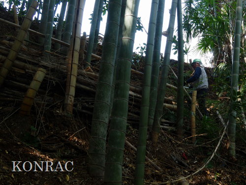 ���R��y��