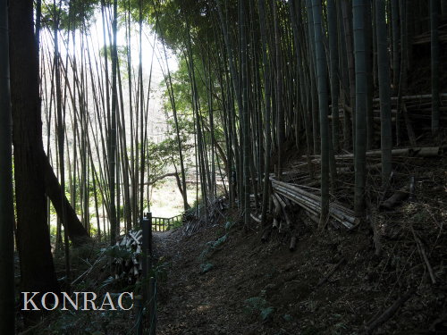 ���R��y��