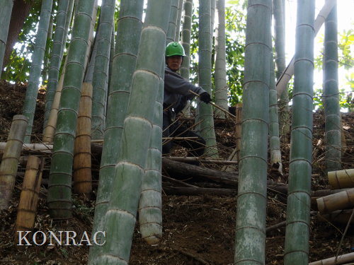 ���R��y��