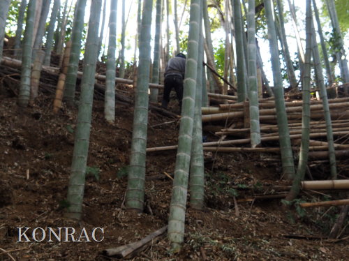 ���R��y��