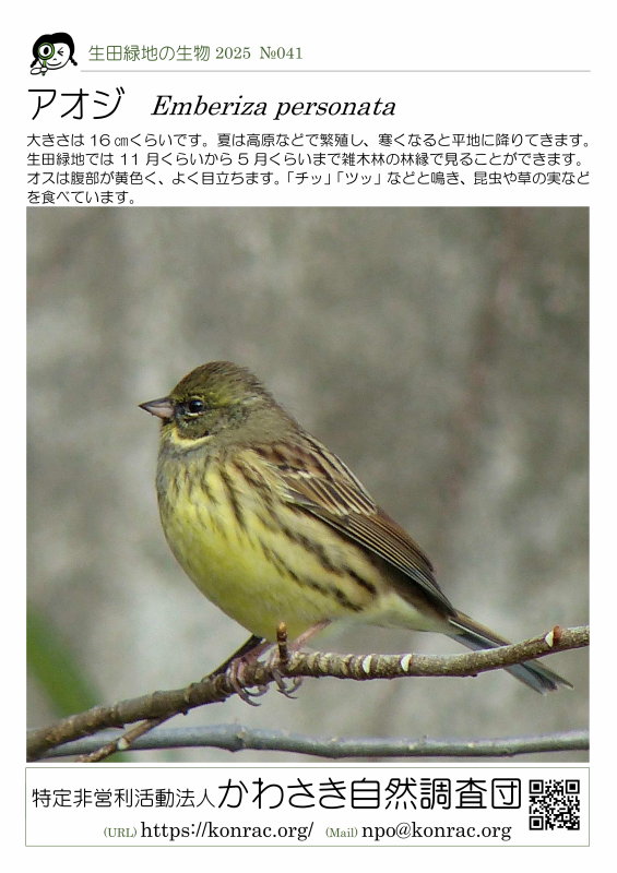 ���c�Βn�̐���25-041