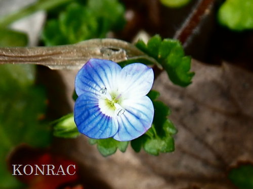 �I�I�C�k�m�t�O��